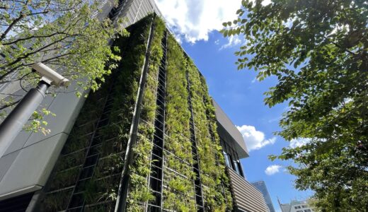 東京の壁面緑化ビル