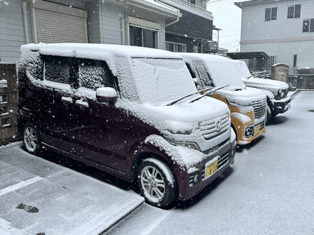 雪の付いた車たち