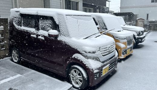 雪の付いた車たち
