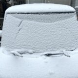 フロントガラスに着雪したスズキの軽自動車
