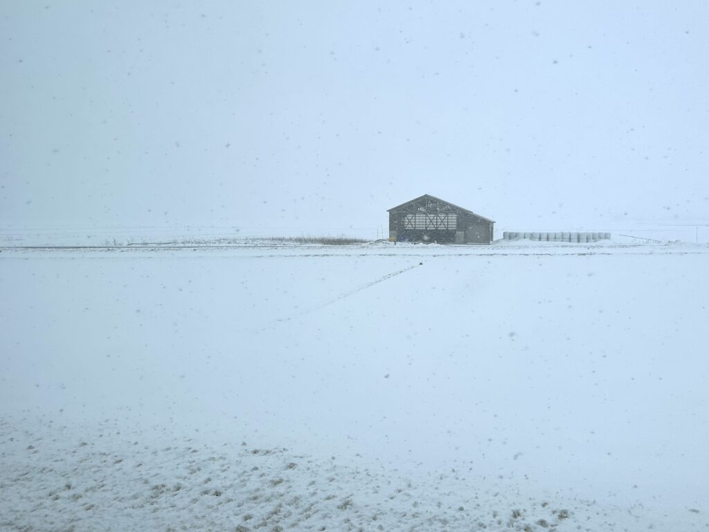 冬の寂しい雪景色