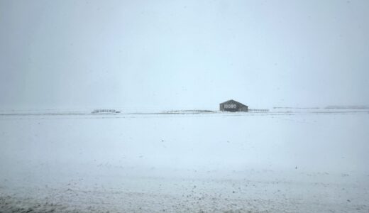冬の寂しい雪景色