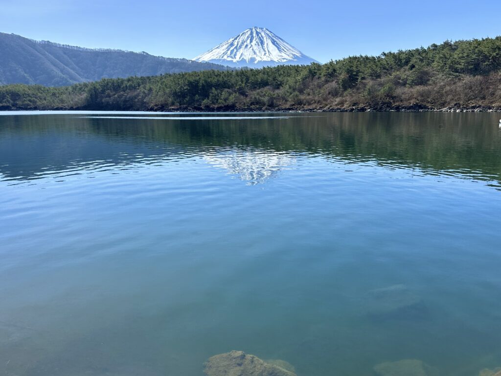 富士五湖の西湖と富士山の写真