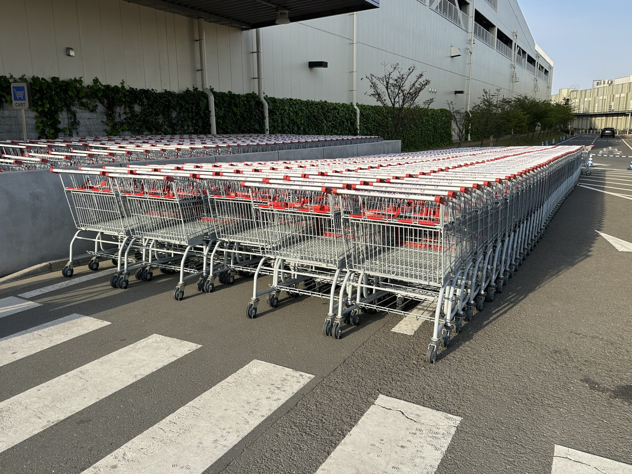 コストコのショッピングカート フリー写真テイクアウト