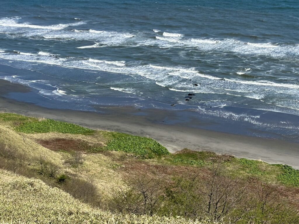 昆布刈石展望台からの十勝太の太平洋の眺め
