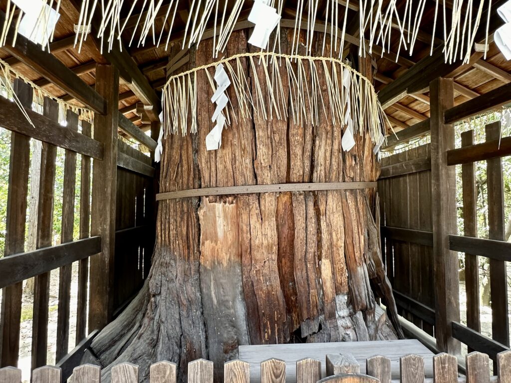 敷地神社の綾杉明神
