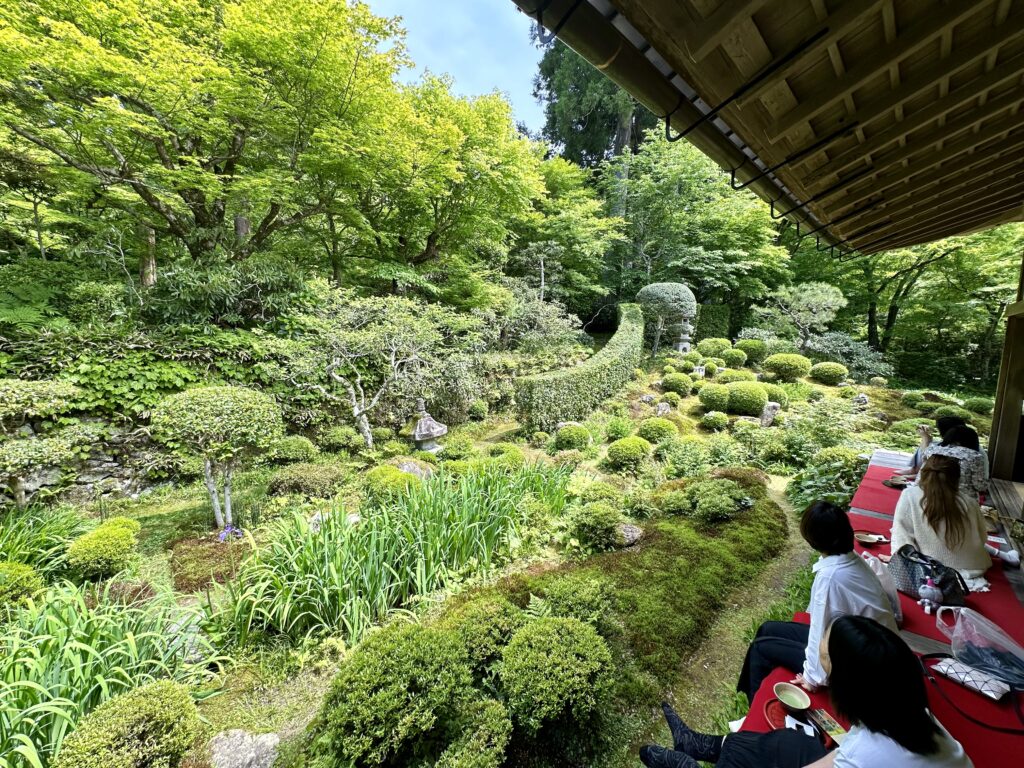 京都の庭園を愛でるインバウンド観光客