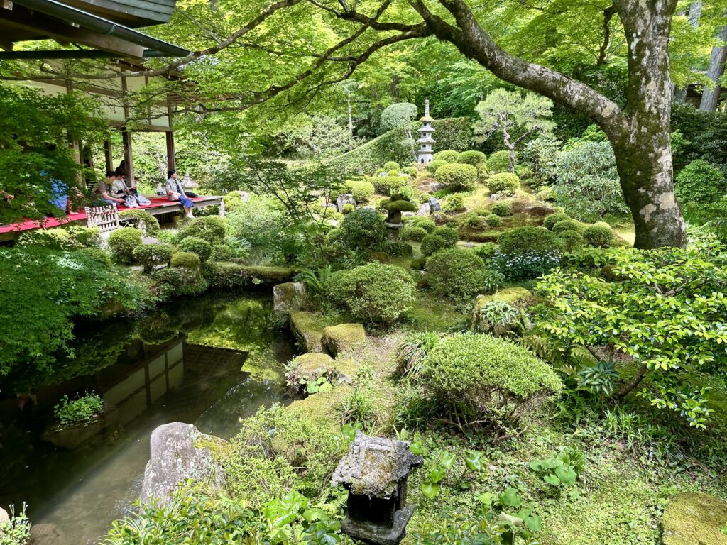 京都の庭園を愛でるインバウンド観光客