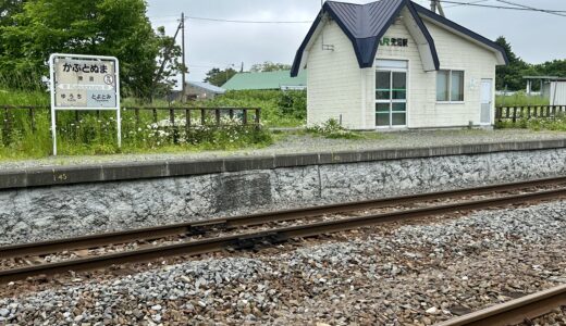 兜沼駅の駅舎と駅名板