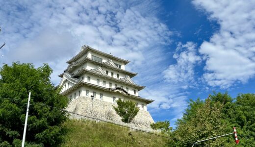 赤平徳川城