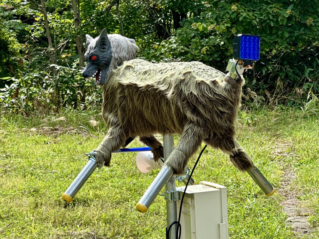 ヒグマ撃退のモンスターウルフ・ロボット狼