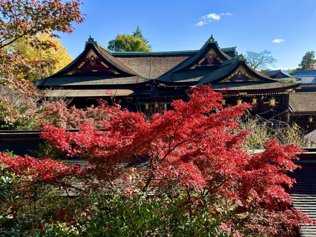 北野天満宮と紅葉