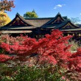 紅葉と神社