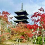 紅葉と寺院