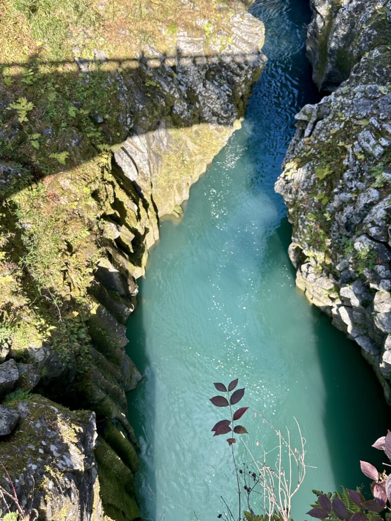 高千穂峡（上から見た写真）