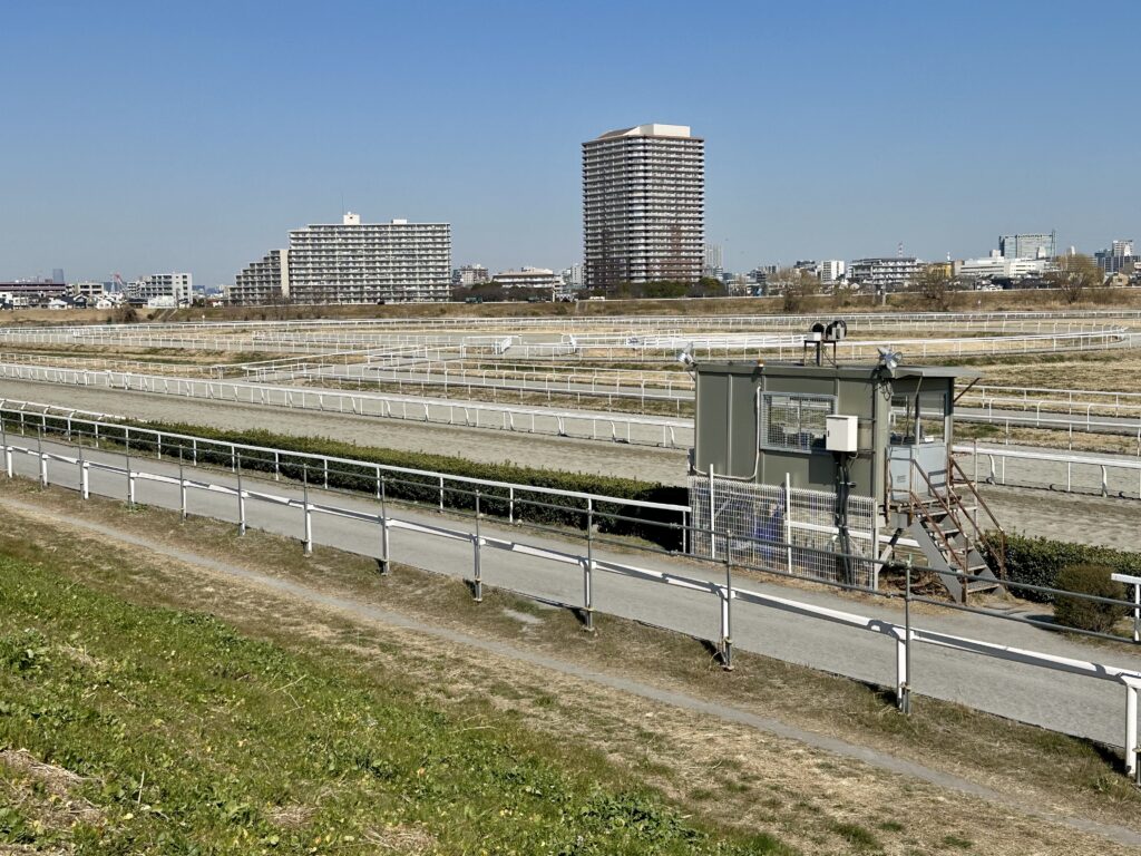 川崎競馬場 練習馬場