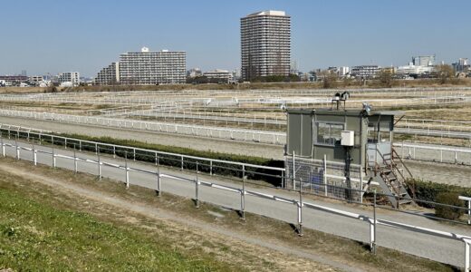 川崎競馬場 練習馬場