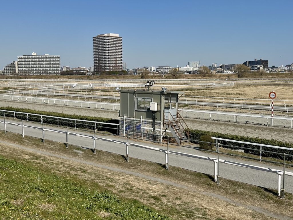 川崎競馬場 練習馬場