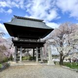 安養寺の山門
