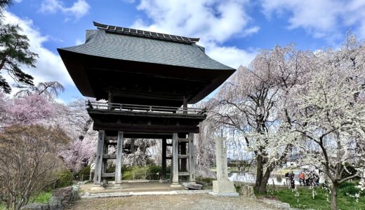 安養寺のしだれ桜（松本市）