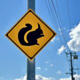 動物注意（リス）