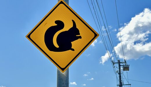 動物注意（リス）