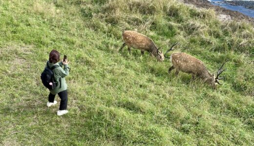 下のソーシャルリンクからフォロー